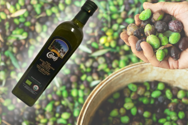 organic italian olive oil